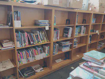 End of day on the non-fiction shelves